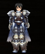Plate Armor